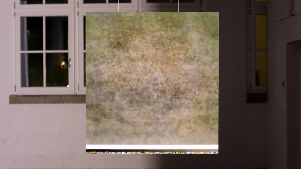 rgnl project image 03